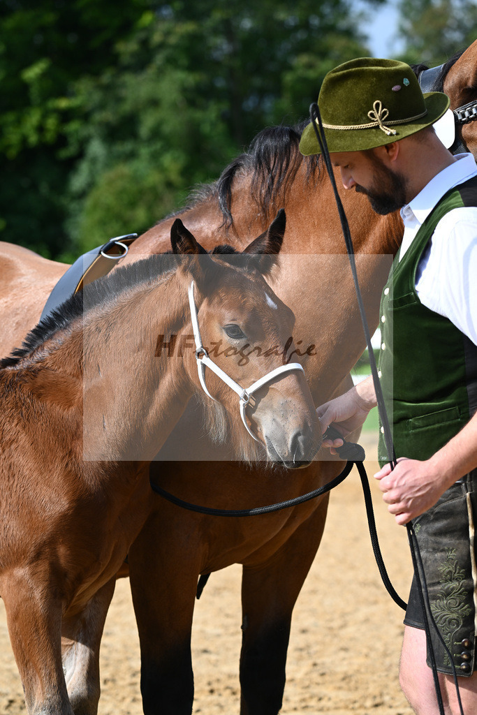Kat-Nr. 5 Rivaldo x Normativ_Langlechner_27140103 | hf-fotografie - Realisiert mit Pictrs.com