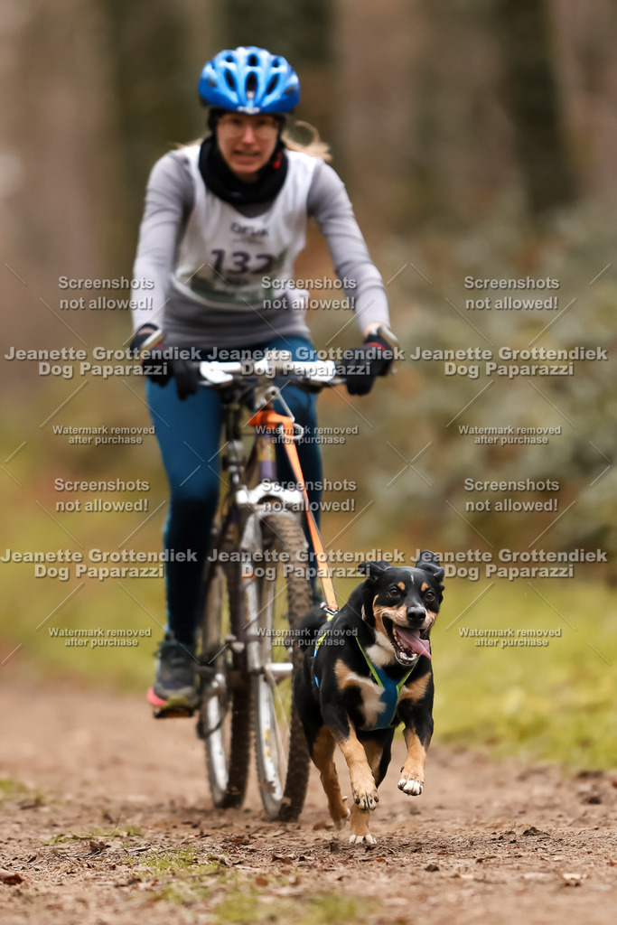 Dog Paparazzi - Speedhunter Mannheim  2025-370 | Dog Paparazzi Jeanette Grottendiek Fotografie & Videografie