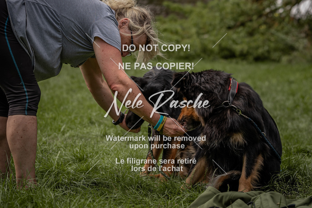 nelerasche_DoN_83 | nelerasche