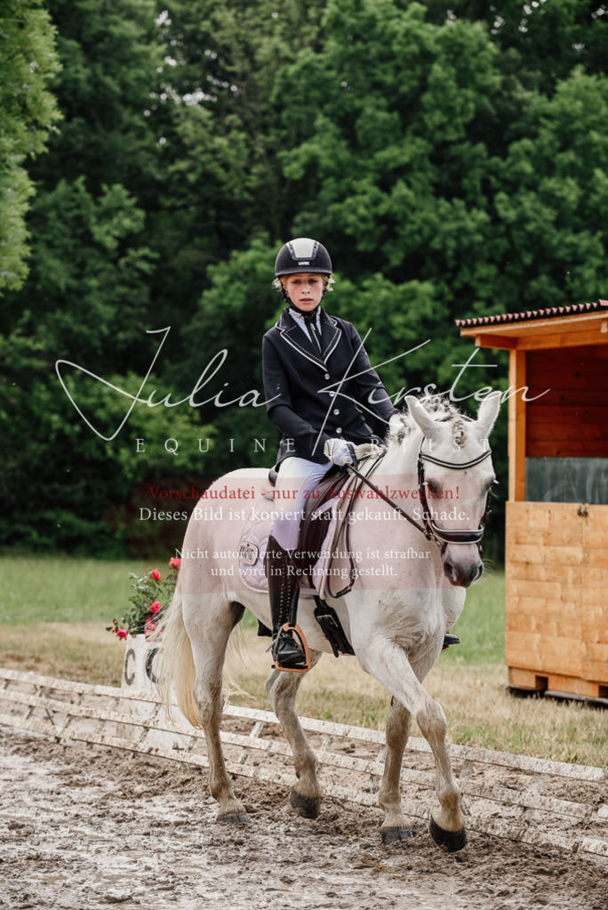 DSC_9430 | Pferde- und Turnierfotografie in Westsachsen. Pferdeportraits, Auftragszeichnungen und intuitive Kunst.