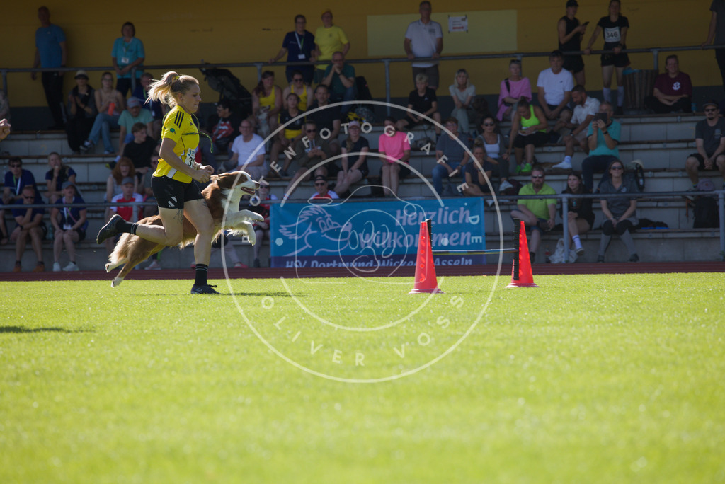 0L8A8474 | Hundefotografie, Tierfotograf, Pfotenfotografie, Fotoshooting Hund, Hunde Portrait, Hundesport, Hundeportraits, Heideshooting, Hunde, Sportfotograf, Hundefotograf, Turnierhundsport, THS,  - Realisiert mit Pictrs.com