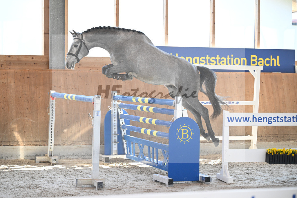 Kat-Nr. 71 HTCBs Casalgino Ve v. Vingino_Barlaup_14261739 | hf-fotografie - Realisiert mit Pictrs.com