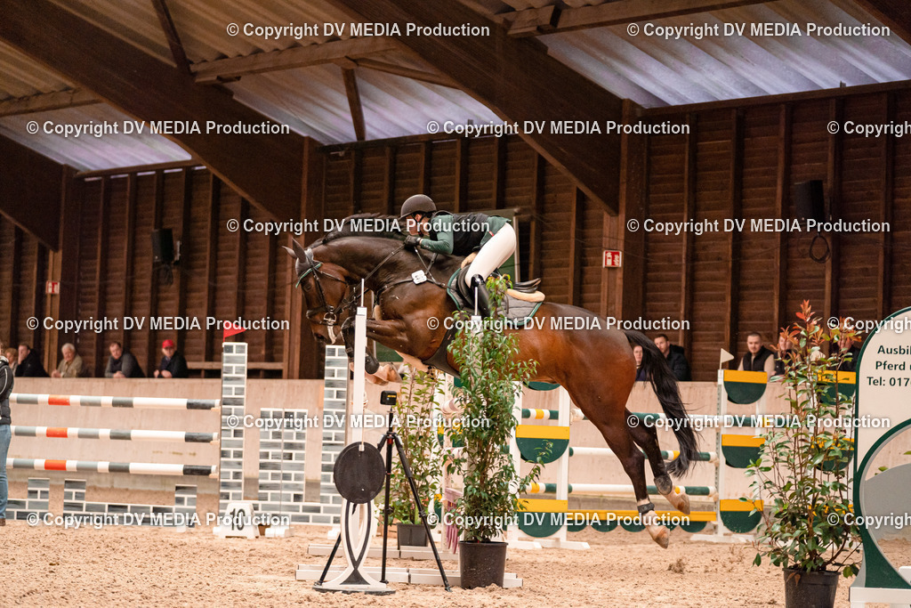 Springen Tag 3-417 | dv-media-shop - Realisiert mit Pictrs.com