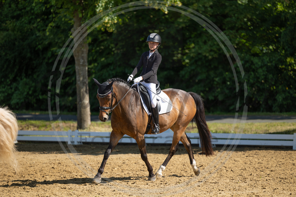 994A3156 | sabrinanicolaifotografie - Realisiert mit Pictrs.com