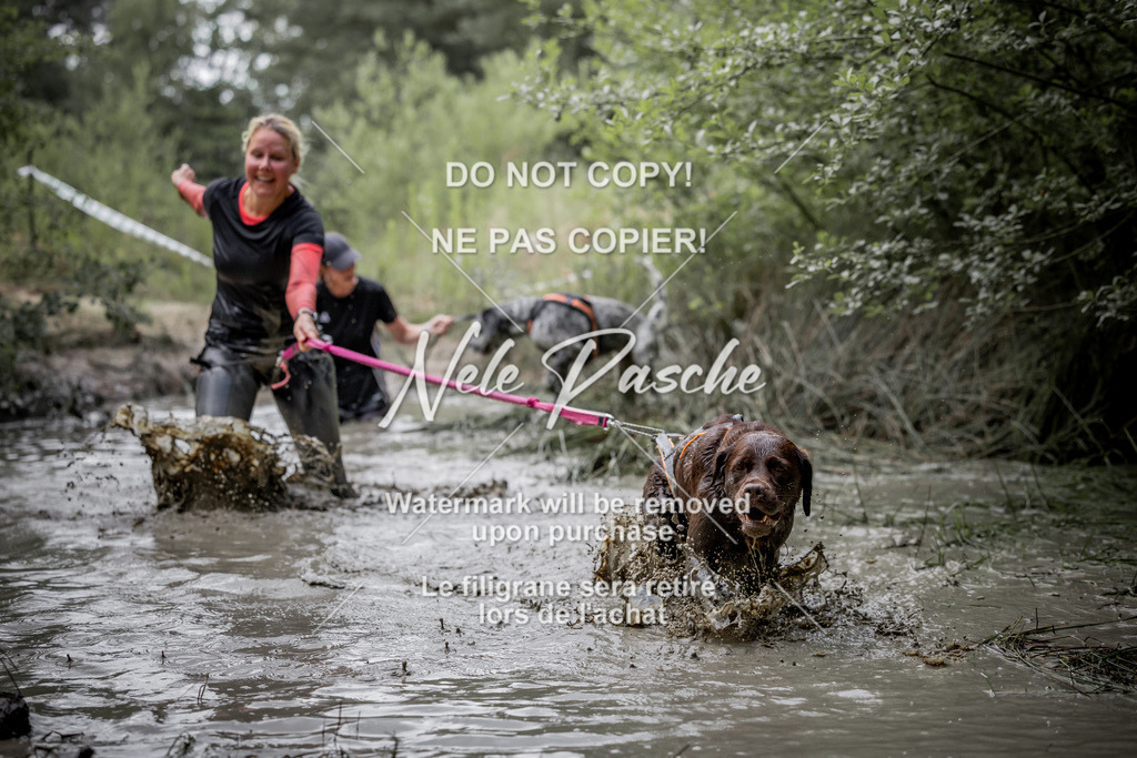 nelerasche_so0800-0930_292 | nelerasche