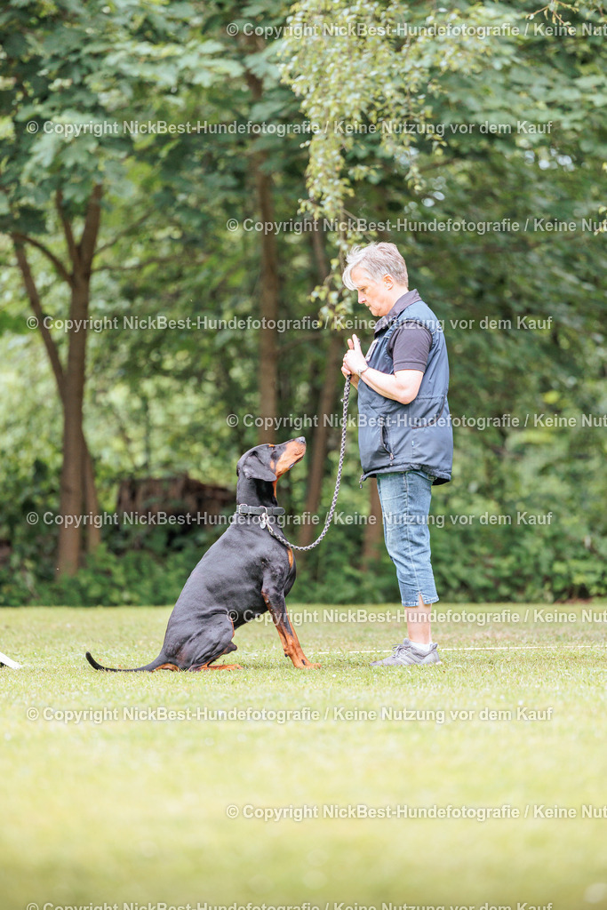 RO-Blumenthal-2026-Nickbest-Hundefotografie-5221 | Dein Hund! Dein Moment! Deine Erinnerungen! Hundefotografie in Bremen Blumenthal. Ich fange die besonderen Momente deines Vierbeiners ein – ob Indoor mit Blitzanlage oder in der freien Natur. Sicher dir dein Moment und dein Termin für eure Erinnerungen.
