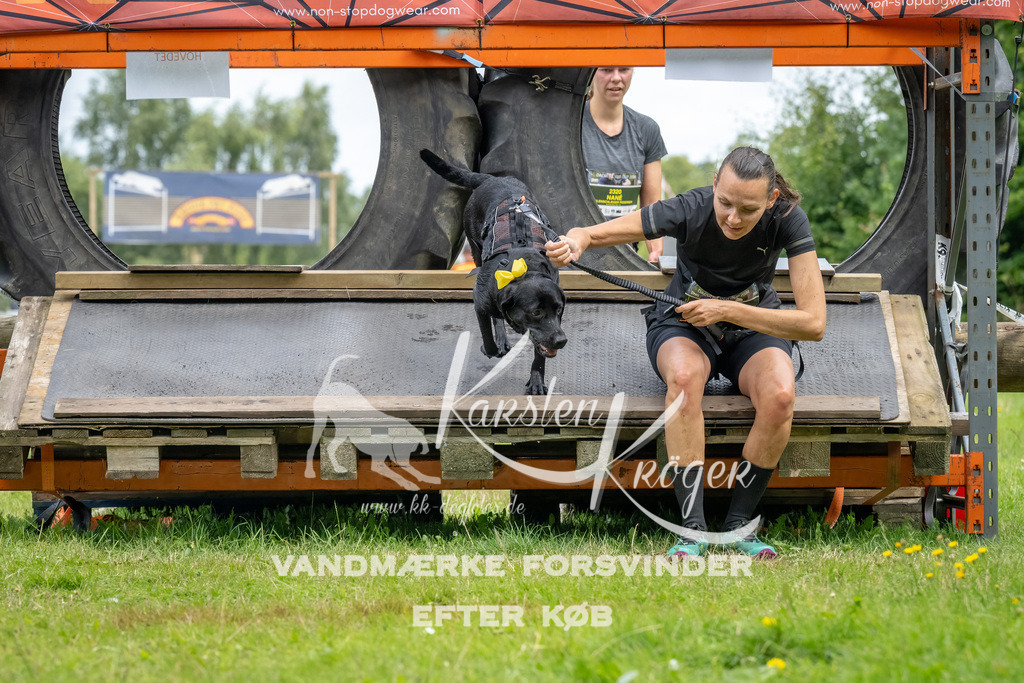 1151_ZZ93080-Bearbeitet | kk-dogfotos