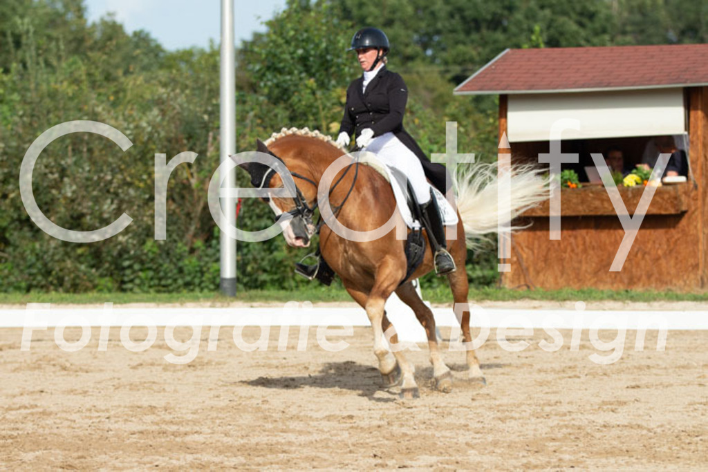 IMG_4491 | Creatify Fotografie