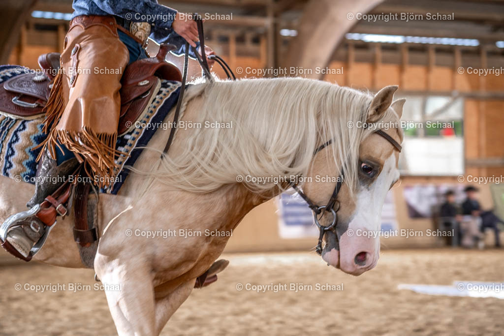 LMB05019 | BS-foto