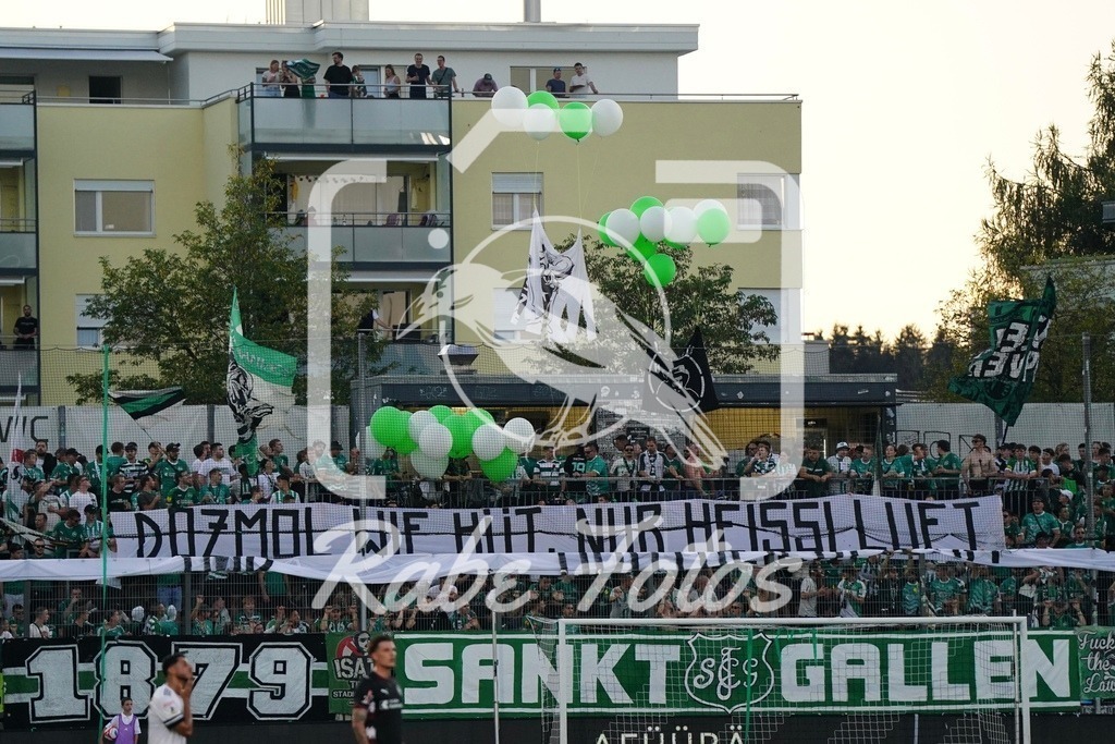 SON01635 | rabefotos