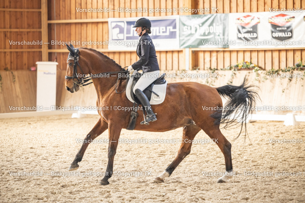 _D5A9393 | Emotionale Pferde- & People-Fotografie rund um Heidelberg, Leimen & Umgebung. Natürliche Fotos von Pferd, Mensch & Familie. Jetzt Termin sichern!