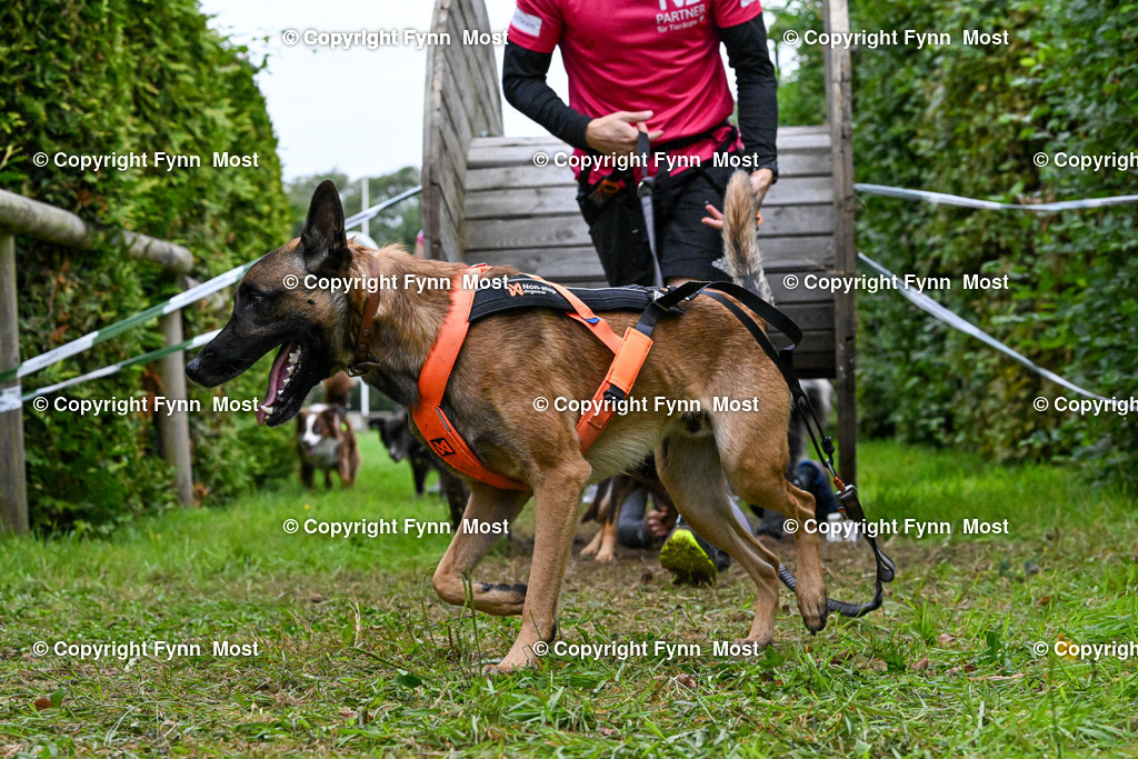 DSC_9580 | Hallo und herzlich Willkommen auf meiner Shop-Seite Fynn Most.

Ich wünsche Dir viel Spaß beim stöbern durch die Bilder, wenn Du Fragen hast oder Bilder vermisst, kannst du mir gerne eine Nachricht schreiben. - Realisiert mit Pictrs.com