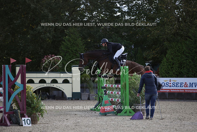 1J2A3825Loreen Schreiter_ La Belle de jour 3_ Kn613_ Havekost | Foto- und Videografie für alles rund ums Pferd. Hochwertige Bilder und Videos vom Spring- und Dressurreiten, Voltigieren & mehr. Jetzt aktuelle Veranstaltungen und Preise im Shop ansehen. - Realisiert mit Pictrs.com
