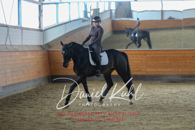 IMG_3719 | Turniersportfotografie; Pferdefotografie; Dressurfotografie