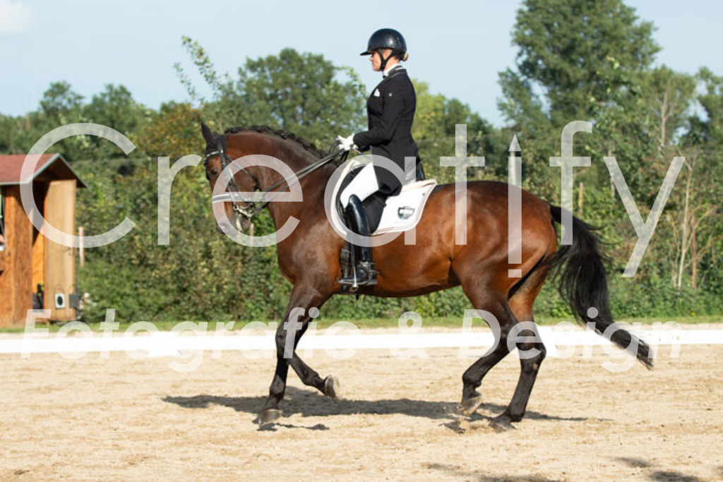 IMG_4943 | Creatify Fotografie