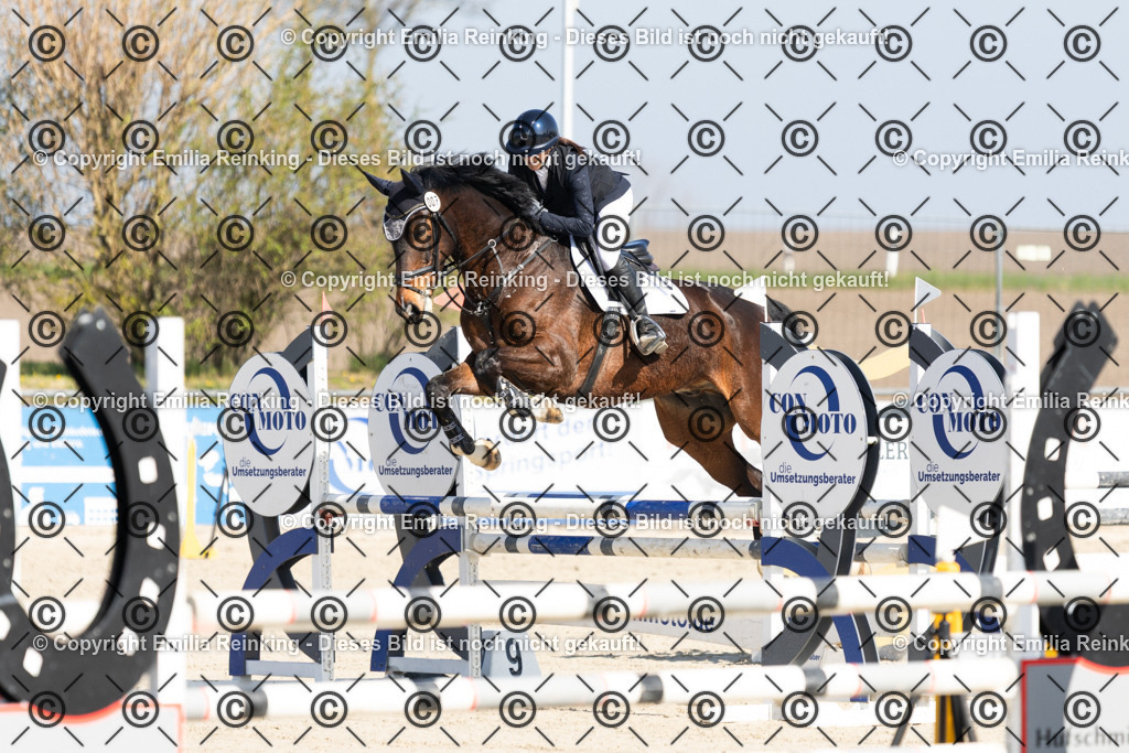 CL5A5315 | Emilia Reinking Fotografie - Realisiert mit Pictrs.com