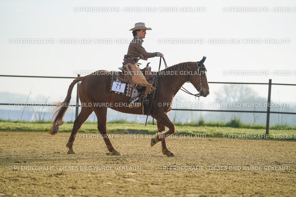 DSC09763 | Pferdegrafie