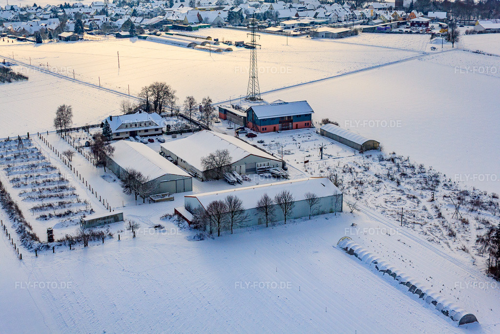 Luftbild: Schoßberghof im Winter bei Schnee in Minfeld im Bundesland Rheinland-Pfalz in Deutschland. Foto: IMG_36043.jpg vom 18.12.2010 durch Werner Riehm/FLY-FOTO.de