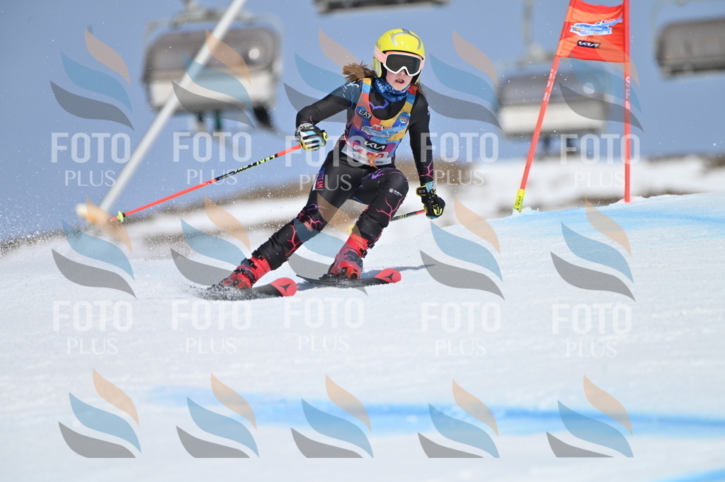 BGV_0075 | holidayphoto