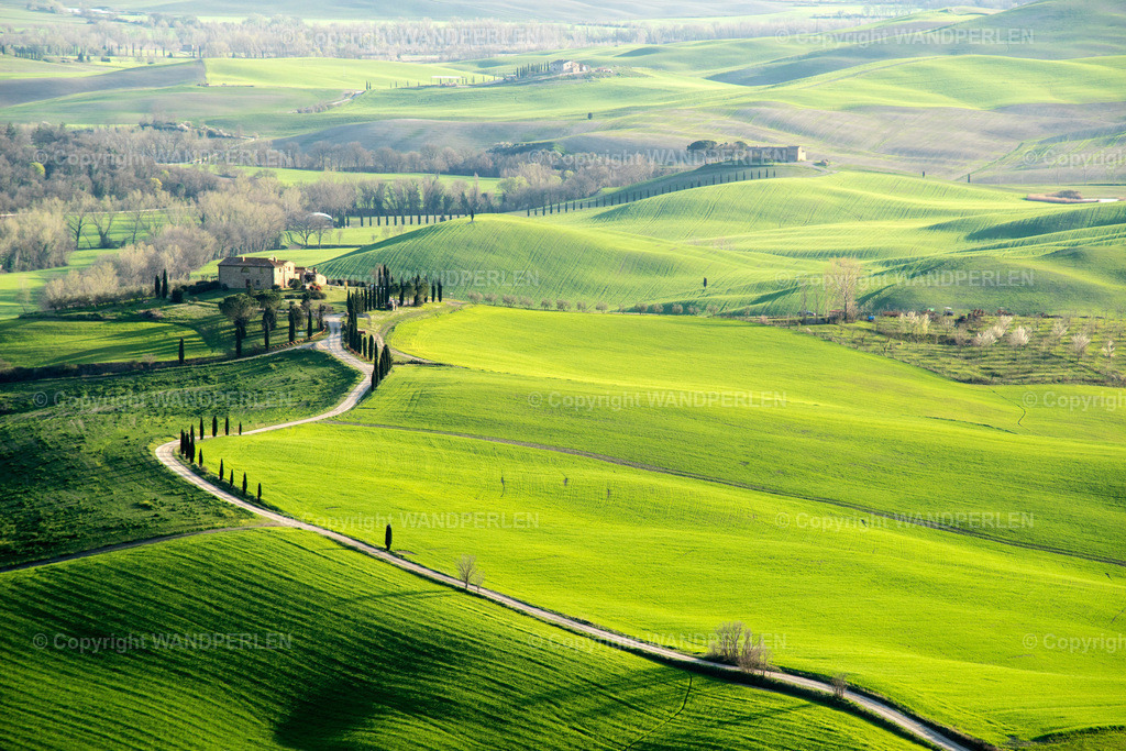 Toskana | Felder in der Toskana - Realisiert mit Pictrs.com