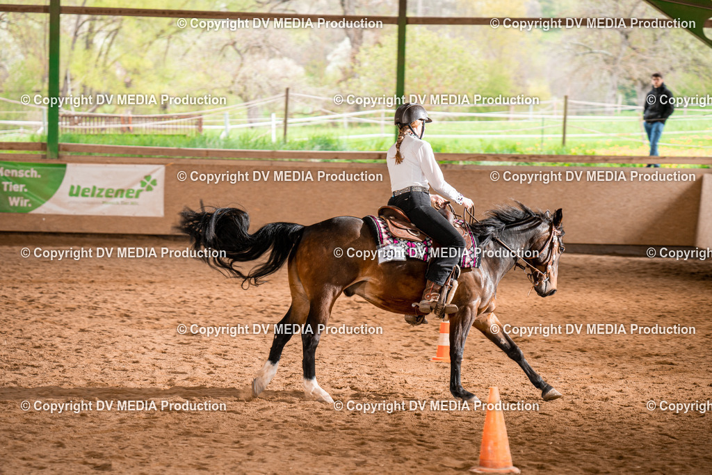 BA300850 | dv-media-shop - Realisiert mit Pictrs.com