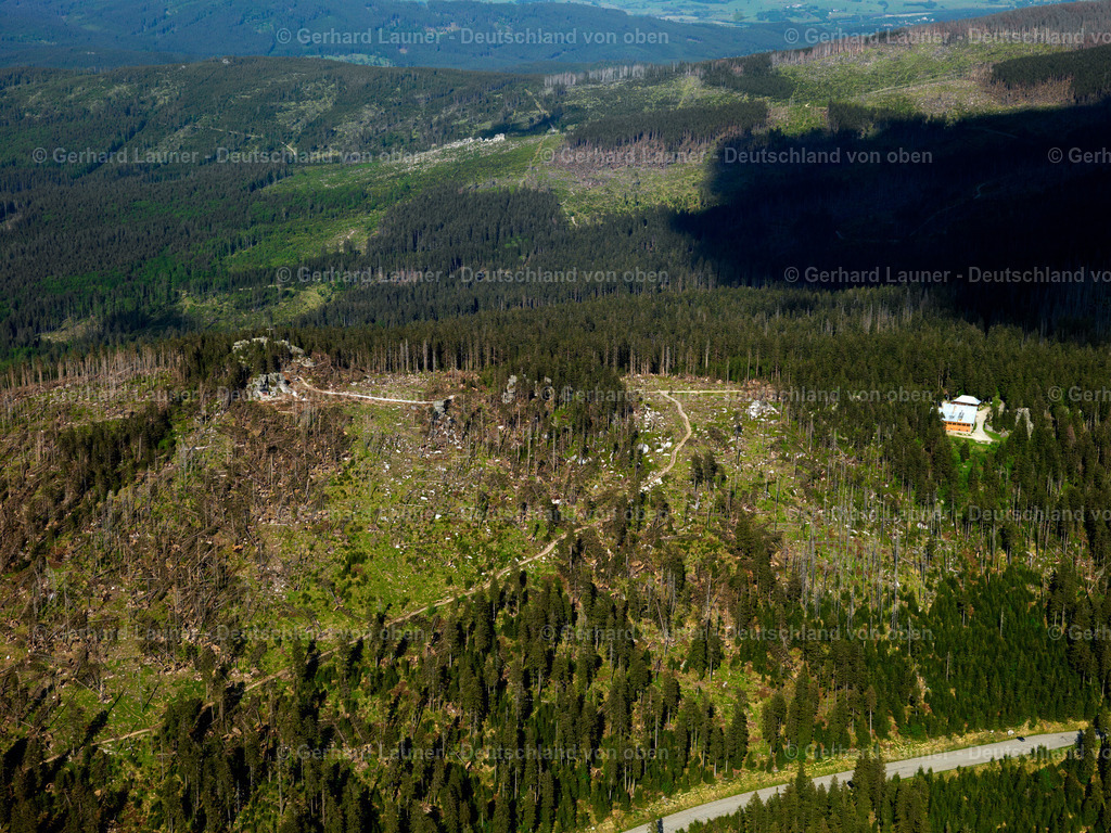 2725081 | Dreisesselberg, Naturschutzgebiet Hochwald, Bayerischer Wald