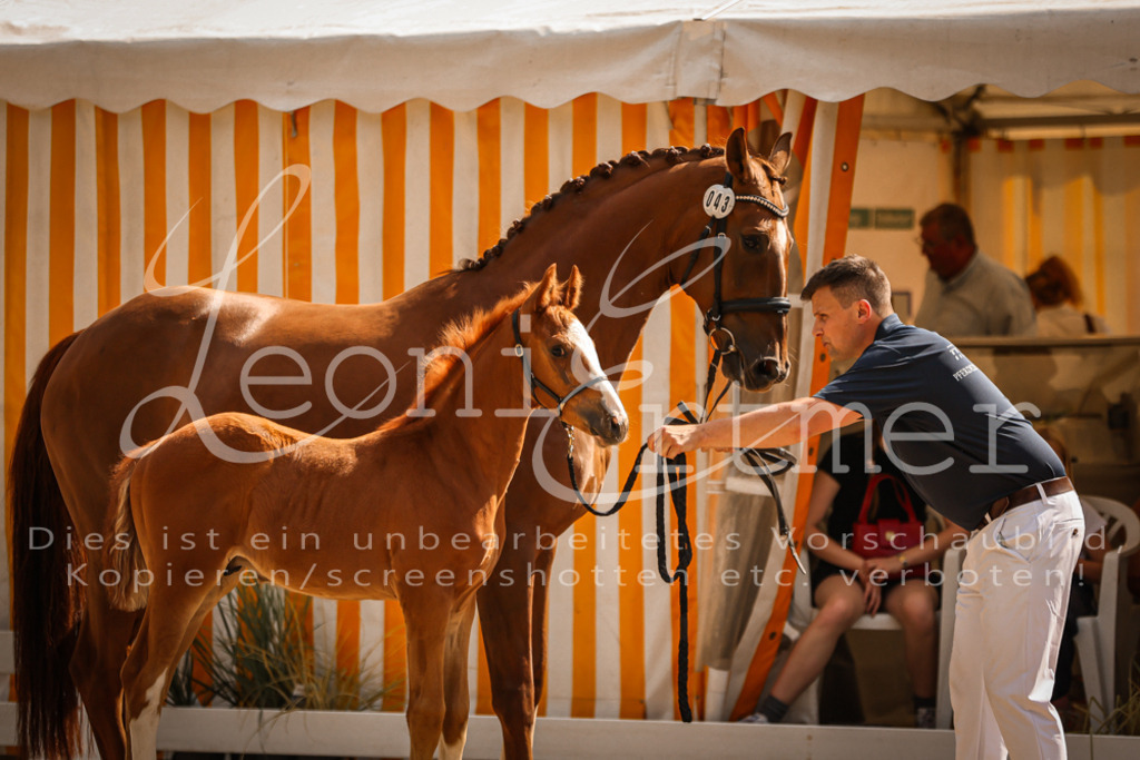 09.DoWBD00007 | Leoni Ertmer Photography - Realisiert mit Pictrs.com