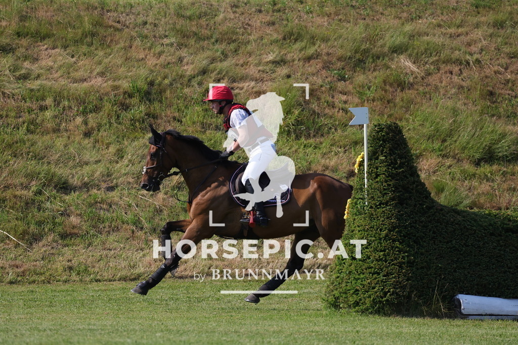 0P6A9268 | Willkommen bei Brunnmayr - Design & Fotografie – Ihrem Spezialisten für Reitturniere und Pferdeveranstaltungen in Oberösterreich, Salzburg und Bayern! Seit über 17 Jahren sind wir leidenschaftlich dabei.