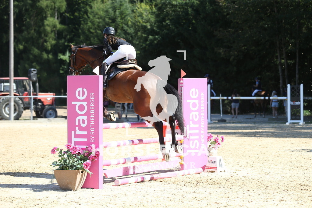 DL2Q9931 | Willkommen bei Brunnmayr - Design & Fotografie – Ihrem Spezialisten für Reitturniere und Pferdeveranstaltungen in Oberösterreich, Salzburg und Bayern! Seit über 17 Jahren sind wir leidenschaftlich dabei.