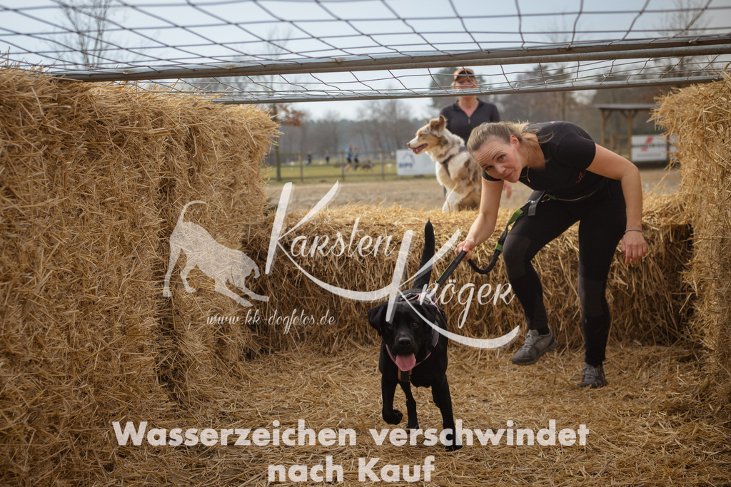 1138_ZZ94716 | kk-dogfotos