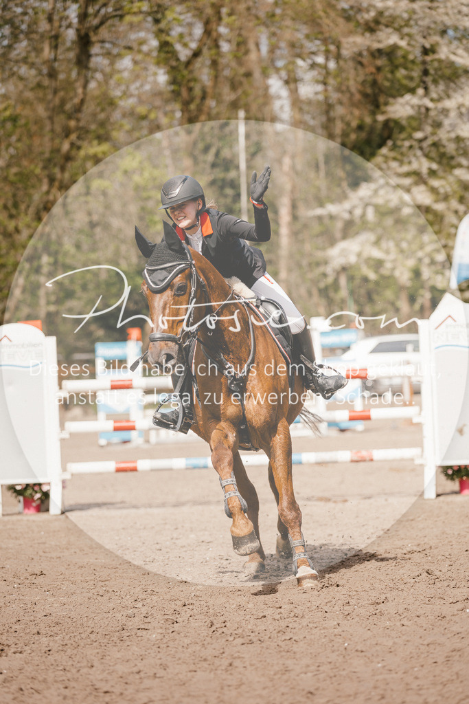 3I6A4203 | Stimmungsvolle Portraits und Reitsportfotografie im Ruhrgebiet und im Münsterland.

Pferdefotografie, Hundefotografie, Tierfotografie, Reportagen, Portraits von Tier und Mensch, Turnierfotografie in Bochum, Recklinghausen, Marl, Haltern am See, Dülmen.. - Realisiert mit Pictrs.com