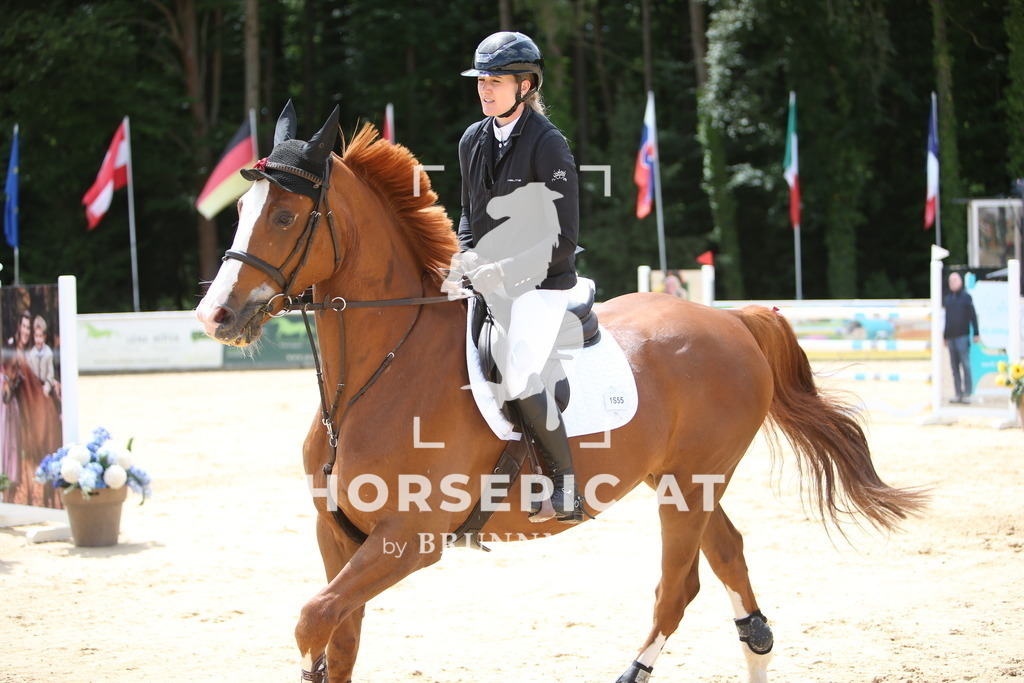 PP013903 | Willkommen bei Brunnmayr - Design & Fotografie – Ihrem Spezialisten für Reitturniere und Pferdeveranstaltungen in Oberösterreich, Salzburg und Bayern! Seit über 17 Jahren sind wir leidenschaftlich dabei.