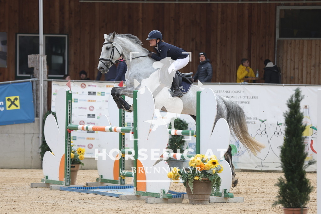 0P6A4250 | Willkommen bei Brunnmayr - Design & Fotografie – Ihrem Spezialisten für Reitturniere und Pferdeveranstaltungen in Oberösterreich, Salzburg und Bayern! Seit über 17 Jahren sind wir leidenschaftlich dabei.