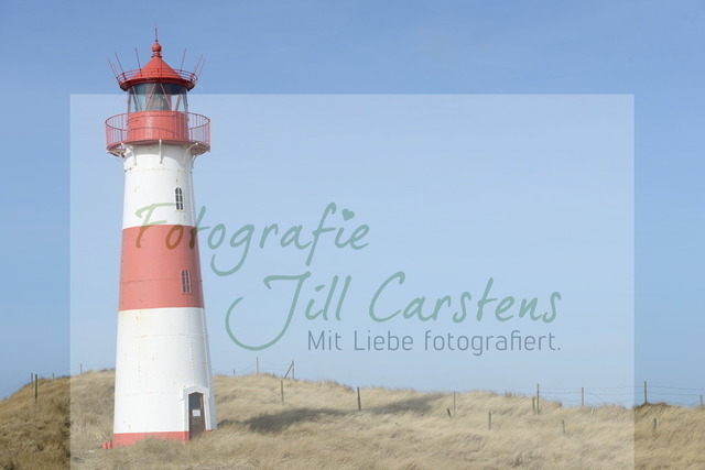DSC_9864 | fotografie-jill-carstens