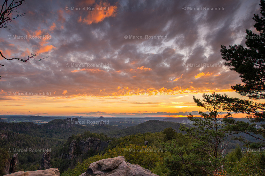 _DSC7531 (2) | foto-rosenfeld