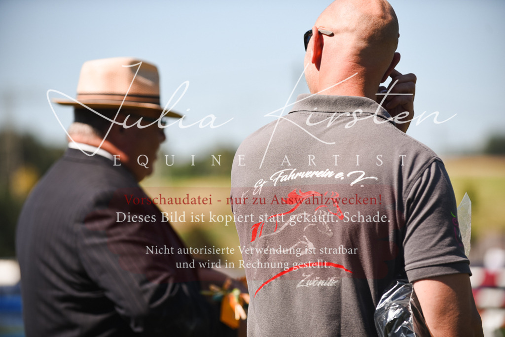 DSC_2921 | Pferde- und Turnierfotografie in Westsachsen. Pferdeportraits, Auftragszeichnungen und intuitive Kunst.