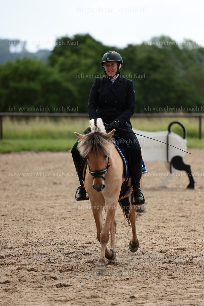 KlasseE_Stoibphotography_CAM22349.JPG | working equitationturnier fotograf videograf stoibphotography marixx film working equitation deutschland reitsport turnierfotografie eventfotografie equestrian events