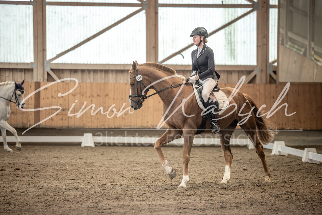 20251011-_3LI7073 | Tierfotografie Pferde, Hunde, Katzen, Haustiere.
Turnierfotografie Reitturniere, Reiten, Springreiten, Dressur in Hanau, dem Main-Kinzig-Kreis und dem Rhein-Main- Gebiet um Frankfurt