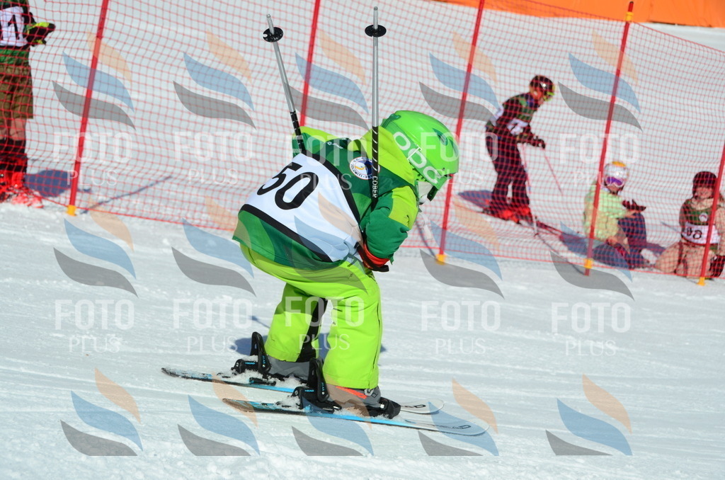 C5198 | holidayphoto