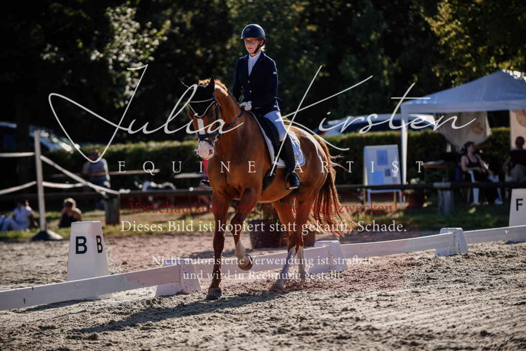 DSC_0485 | Pferde- und Turnierfotografie in Westsachsen. Pferdeportraits, Auftragszeichnungen und intuitive Kunst.
