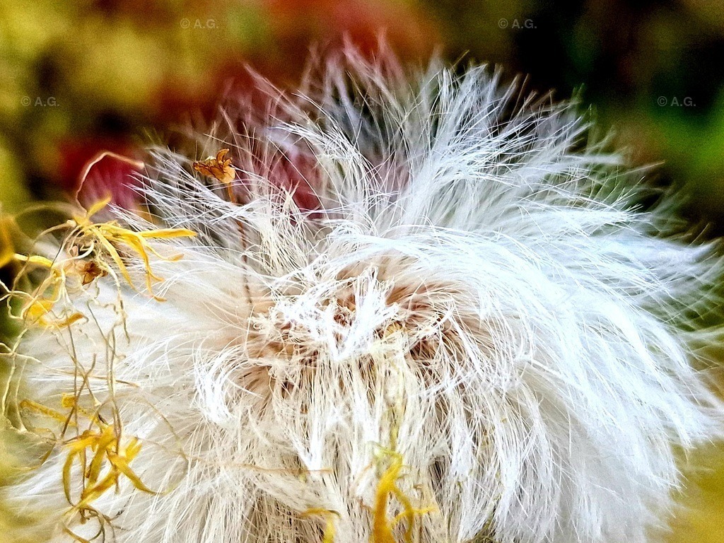 20220414_185632 | aileen-glaeser - Realisiert mit Pictrs.com