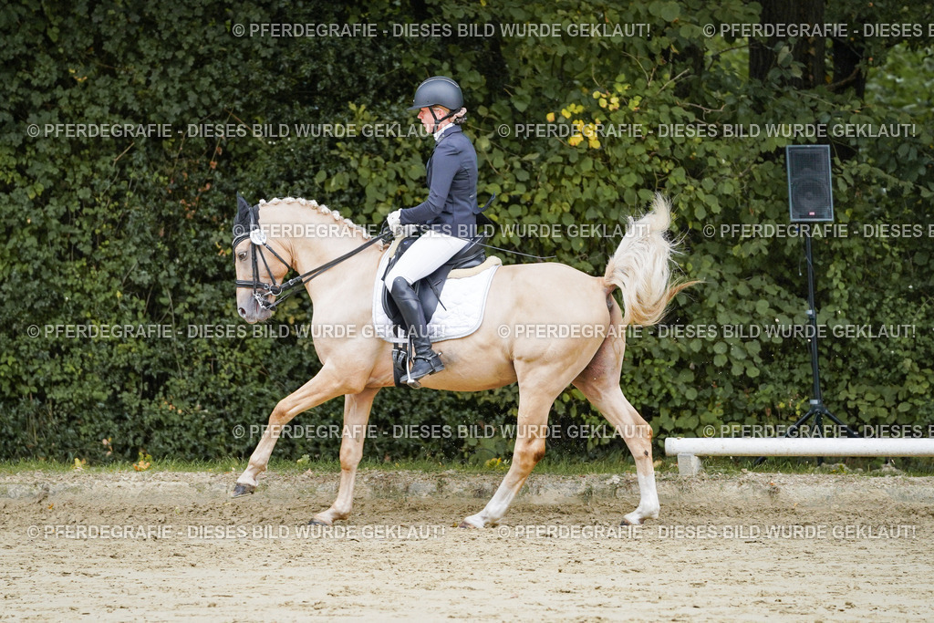 DSC08973 | Pferdegrafie