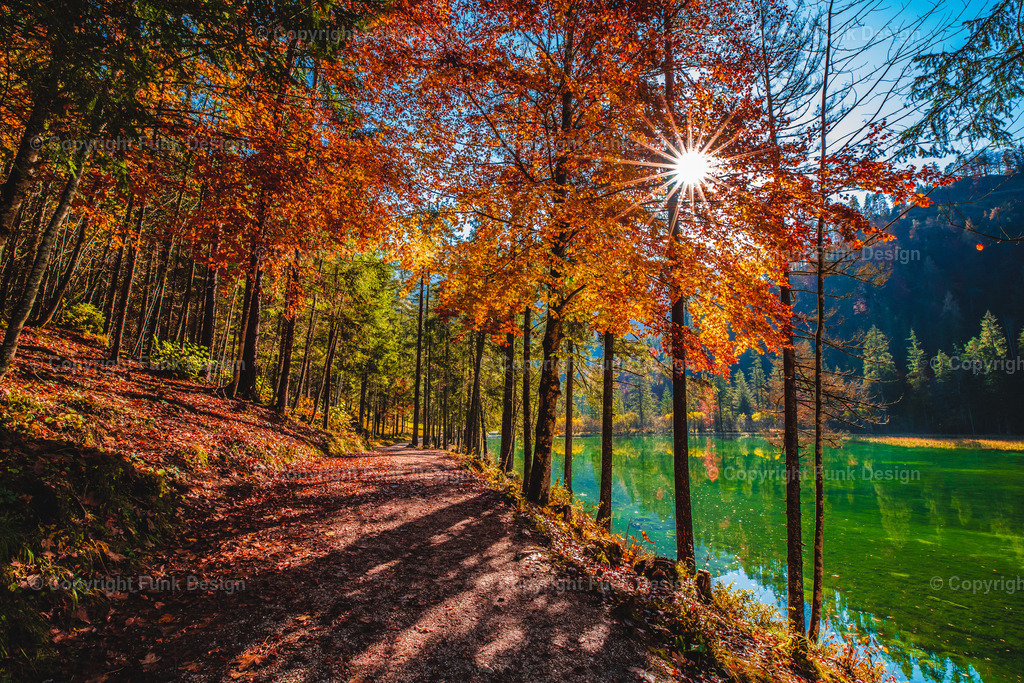 Herbstweg am Schiederweiher – Hinterstoder, Oberösterreich, Österreich | Ein stimmungsvoller Uferweg führt am Schiederweiher entlang, während das Herbstlaub in kräftigen Farben leuchtet und die Sonne als Stern durch die Baumkronen bricht. Das smaragdgrüne Wasser und das warme Licht machen das Motiv lebendig und gleichzeitig angenehm ruhig.