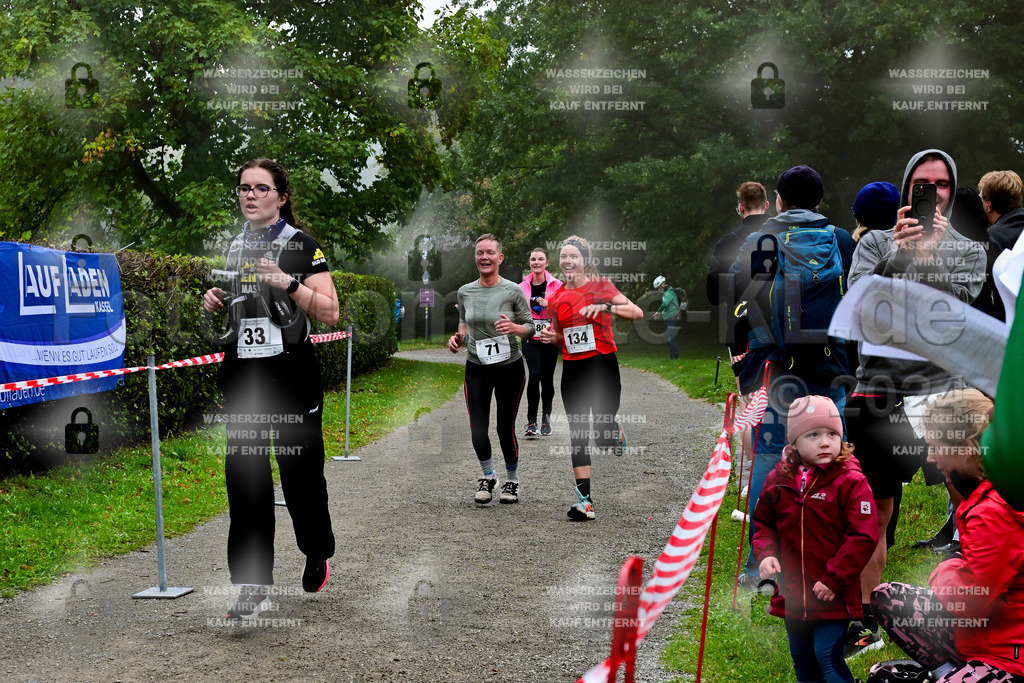 Z8N_2030 | la-psv - Realisiert mit Pictrs.com