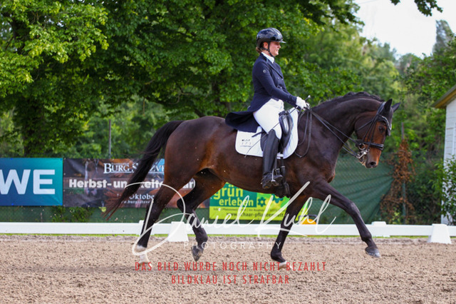 DKP41460 | Deine Turnierfotos vom Reitturnier online kaufen: Dressur, Springen & Siegerehrung. Professionelle Pferdefotografie aus dem Rheinland – als Download & Print.Alternative: Turnierfotograf für den Pferdesport: Finde deine Fotos von Dressur- und Springturnier