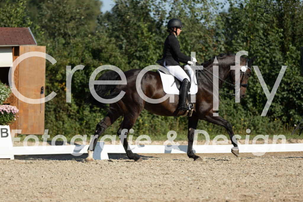 IMG_0847 | Creatify Fotografie