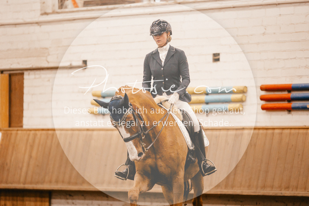 3I6A2799 | Stimmungsvolle Portraits und Reitsportfotografie im Ruhrgebiet und im Münsterland.

Pferdefotografie, Hundefotografie, Tierfotografie, Reportagen, Portraits von Tier und Mensch, Turnierfotografie in Bochum, Recklinghausen, Marl, Haltern am See, Dülmen.. - Realisiert mit Pictrs.com