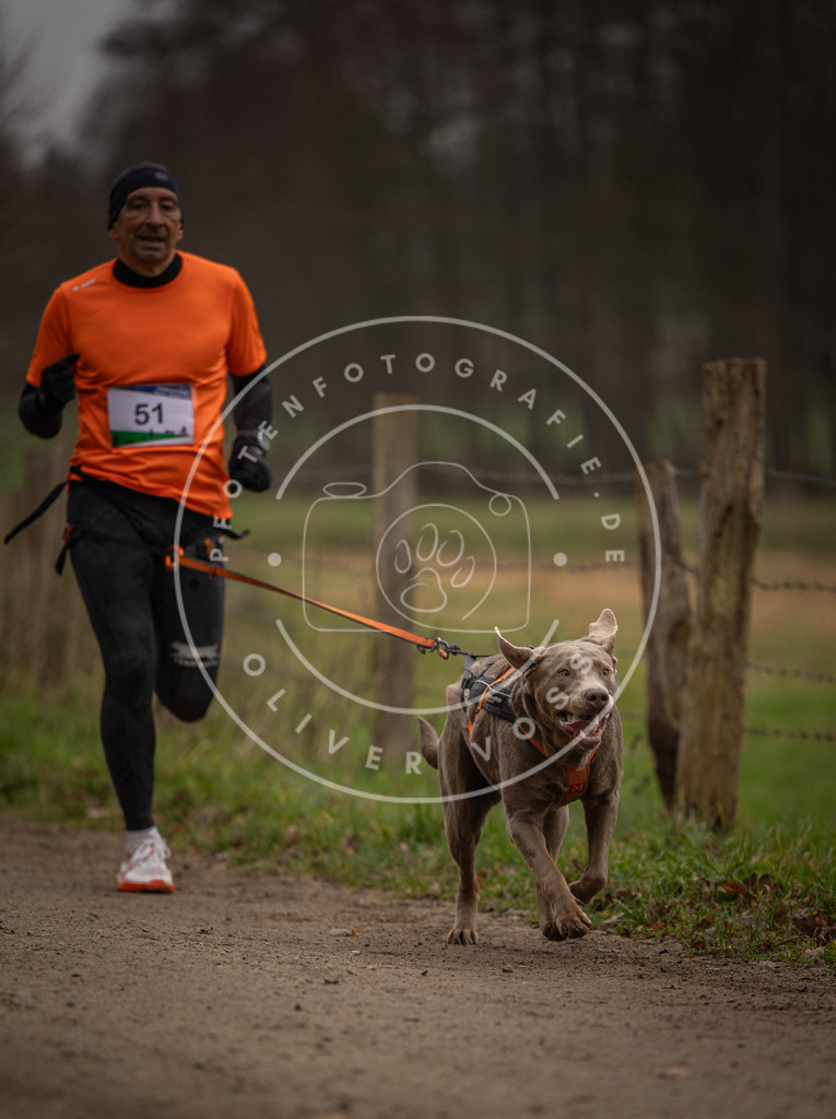 Pfotenfotografie_DV3A2871 | Hundefotografie, Tierfotograf, Pfotenfotografie, Fotoshooting Hund, Hunde Portrait, Hundesport, Hundeportraits, Heideshooting, Hunde, Sportfotograf, Hundefotograf, Turnierhundsport, THS,  - Realisiert mit Pictrs.com