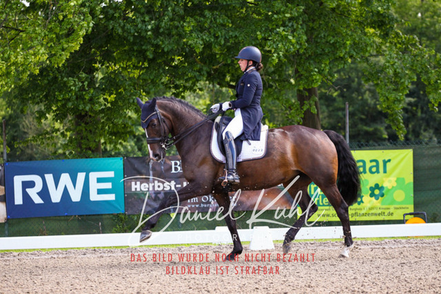 DKP41362 | Turnierfotos kaufen im Webshop von Daniel Kuhl Photography – entdecke professionelle Reitsportfotos aus Turnieren & Events. Hochwertige Turnierbilder online bestellen & sichern. Jetzt Fotos von Reitsportturnieren kaufen!