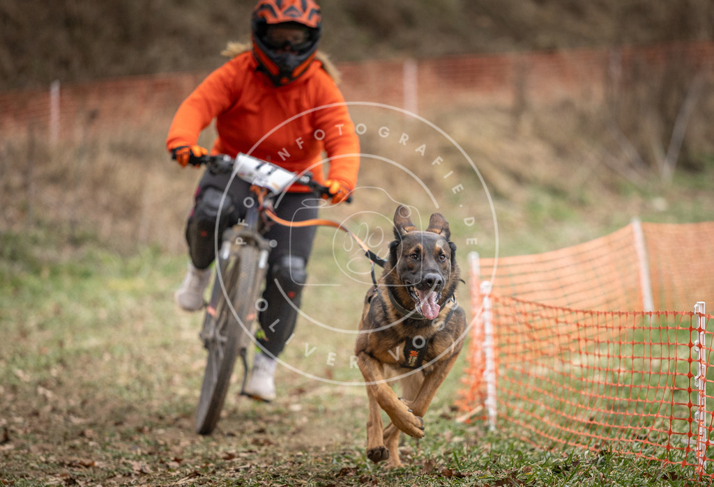 Pfotenfotografie_DV3A5412 | Hundefotografie, Tierfotograf, Pfotenfotografie, Fotoshooting Hund, Hunde Portrait, Hundesport, Hundeportraits, Heideshooting, Hunde, Sportfotograf, Hundefotograf, Turnierhundsport, THS,  - Realisiert mit Pictrs.com
